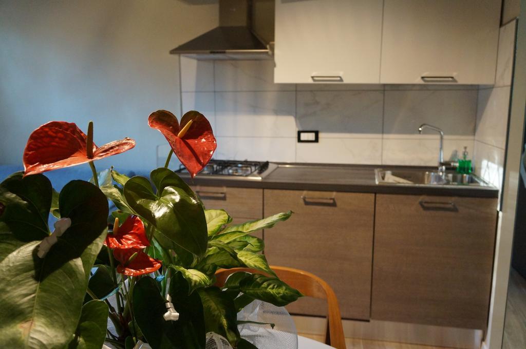 San Donato 40 Apartment Болоня Стая снимка